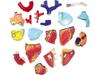 4D Human Anatomy Model Heart Puzzle 626004 Fame Master 4D Master Educational Toy STEM