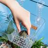 With Ramp Suction Cups Hanging Turtle Platform  Reptile Amphibian