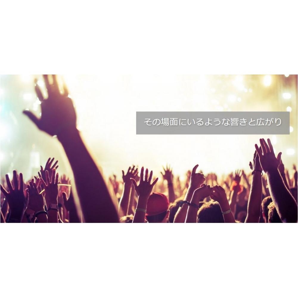 YAMAHA AV-ресивер черный RX-V385(В)