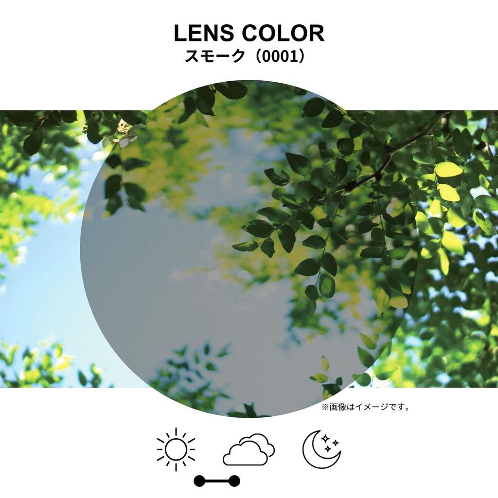 Swans Sunglasses Spare Lenses for Lion Smoke Japanese-Made Shin, L-LI_SIN-0001_SMK 0001,