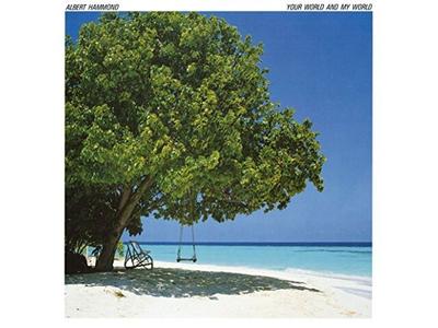 Музыкальные альбомы – CD-записи