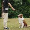 Pet Feeding Bag Outdoor Training Dog Food Pocket Silicone Dog Treat Pouch with Waist Belt Pet Snack Pouch Walking Dog Waist Bag