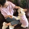 Summer Thin Cotton Dog Clothing Short-sleeved Parent-child Clothing Striped Undershirt Teddy Small Dogs Cats
