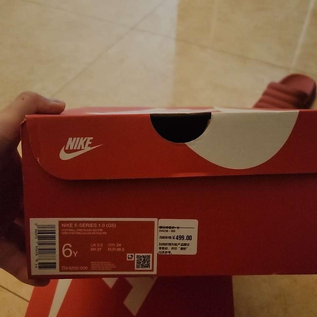 Nike Кроссовки детские E-Series 1.0 GS Football Grey Lilac Bloom DV4250-006