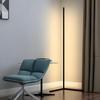 LED Floor Lamp, Dimmable and Color-Adjustable, Modern Japanese Design, Stylish, USB Lead Plug, Perfect for Living Rooms, Bedrooms, Studies, Game