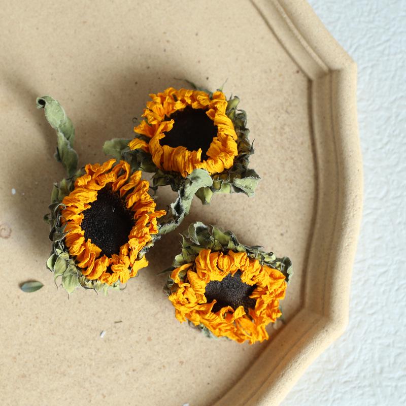 Dried Real Flowers & Materials: Pine Cones, Acorns, Cotton, Adhesives, Sunflowers - DIY Scented Floral Decor & Photography Props