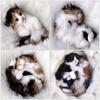 50X50CM Cat Diamond Painting Animal Cross Stitch 5D Diy Diamond Embroidery Kitten Mosaic Children's Room Decor