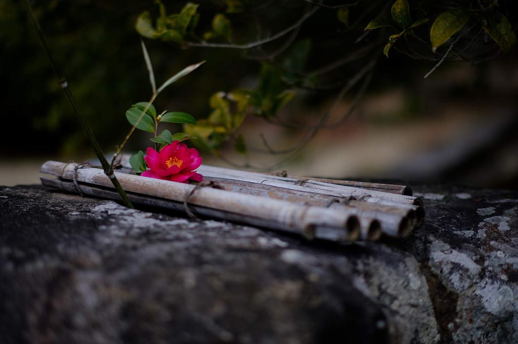 Объектив TTArtisan 50mm Prime для Sony E Ручной Светосильный объектив для беззеркальных компактных камер и Meisho Optical F1.2 E-Mount APS-C (2-летняя гарантия производителя