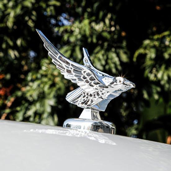 3D Eagle украшение на капот автомобиля самоклеящийся крутой универсальный автомобильный передний капот для грузовика животное украшение автомобильные принадлежности