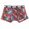 Small Planet Spider-Man Men's Boxer Briefs, Standard Black, Marvel, Size M