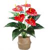 35/50CM Artificial Red Palm Plant Real Touch Fake Plants  Outdoor Indoor Decor