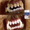 Pet Tooth Powder Cleans Teeth While Refreshing Breath, Making Interaction with Furry Children Closer