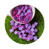 500g/Lot Mini Purple Color Butterfly Polymer Clay Slices Sprinkles for DIY Crafts Slime Fillers Supplier