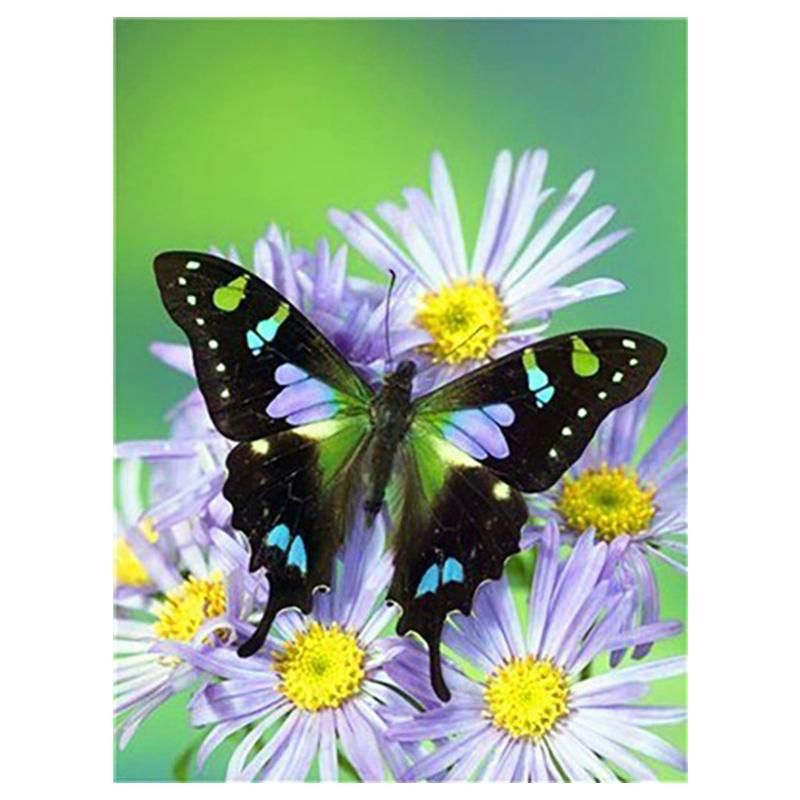 5D Diy Diamond Painting Butterfly Animal Cross Stitch Kit Full Drill Embroidery Mosaic Art Pictures of Rhinestones Home Decor