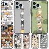 Забавные милые кошки Чехол Для Apple iPhone 12 13 Mini 11 14 15 16 Pro Max Plus X XR XS Max Coque