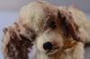 Плюшевая собака Floppy Dog Cockie от Steiff Steiff 1953-1977 Немецкая игрушка, кукла/фигурка, антикварная/винтажная_ig4883