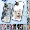 Прозрачный мягкий чехол с татуировкой сфинкса и кота для iPhone 11 12pro max 5S SE 6s 13pro 7 8plus x xs xr xsmax 12 13mini, чехлы