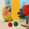 Wood/Plastic Bird Mini Basket Frame Toy  For Parrots Parakeet Cockatiels