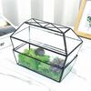 Geometric Glass Greenhouse: Preserved Flower & Moss Succulent Display for Home & Restaurant Decor
