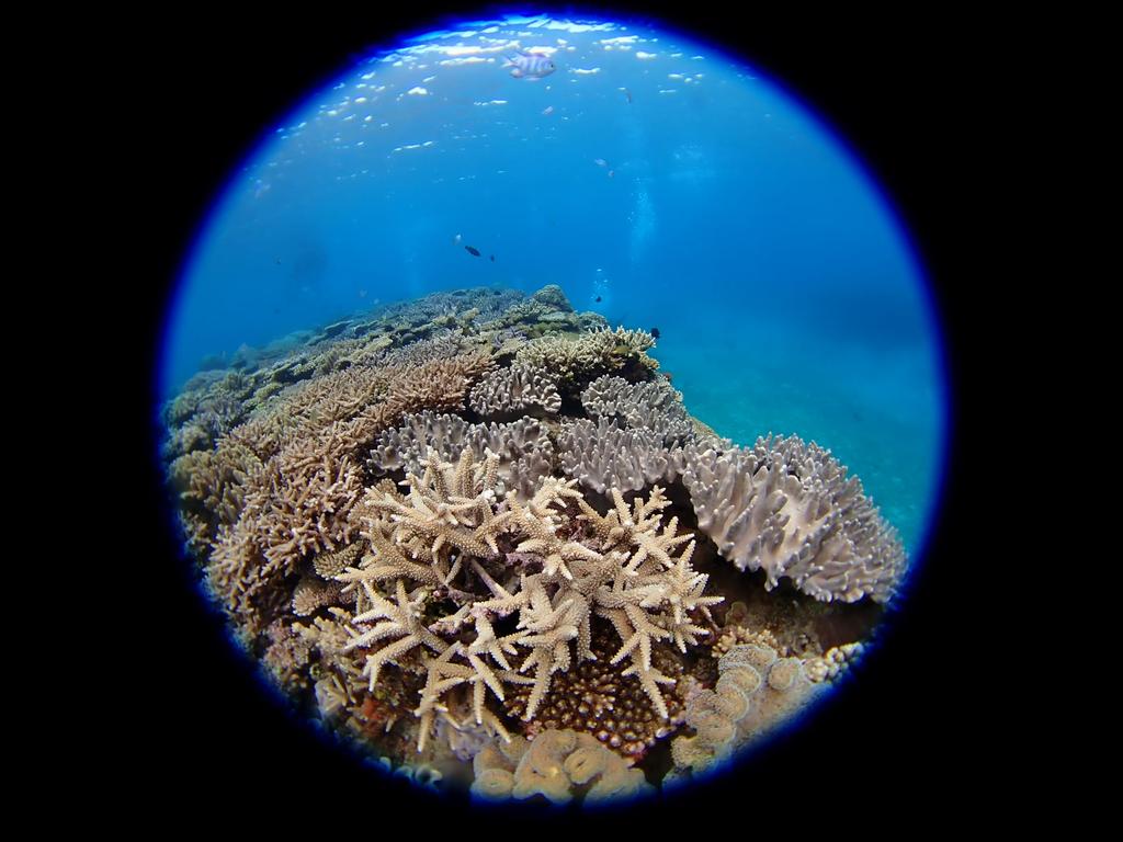 Конвертер «рыбий глаз» FCON-T02 (TG-5/TG-6/TG-7/макросъемка/подводная съемка/на открытом воздухе)