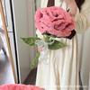 Mother's Day XL Rose Twist Stick Bouquet Handmade DIY Kit 520 Gift