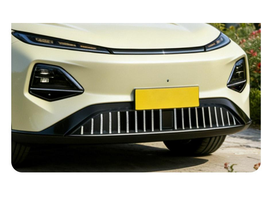 Сетчатый Защитник Решетки Радиатора от Насекомых для Changan Qiyuan Q05