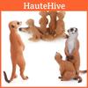 Mongoose Animal Figurine Collection For Kids Development And Display