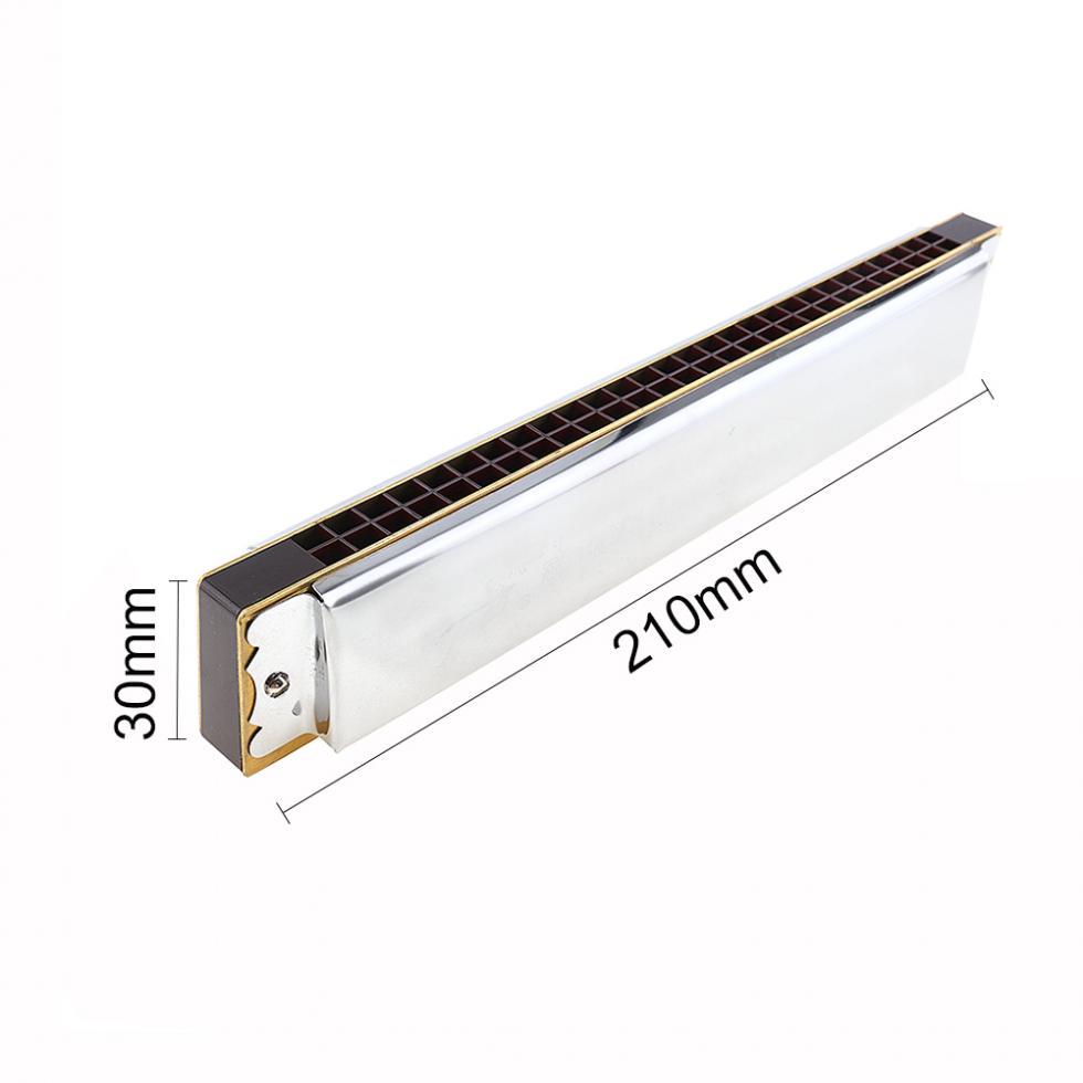 Серебряная губная гармошка с 28 отверстиями, диатоническая блюзовая арфа, губная гармошка с пластиковой коробкой для начинающих