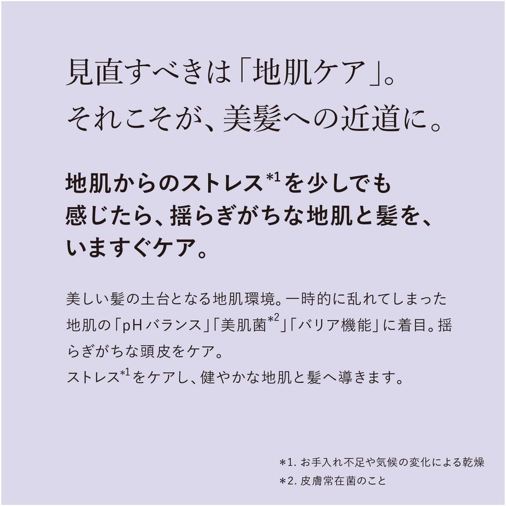 L'OCCITANE Balancing Shampoo 500mL Large Capacity