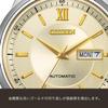 Citizen Collection Mechanical NY4057-63P Men's Wristwatch