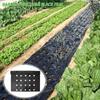 Дышащая перфорированная пластиковая мульчирующая пленка с предварительно проделанными отверстиями Черная барьер от сорняков Снижение заболеваний
