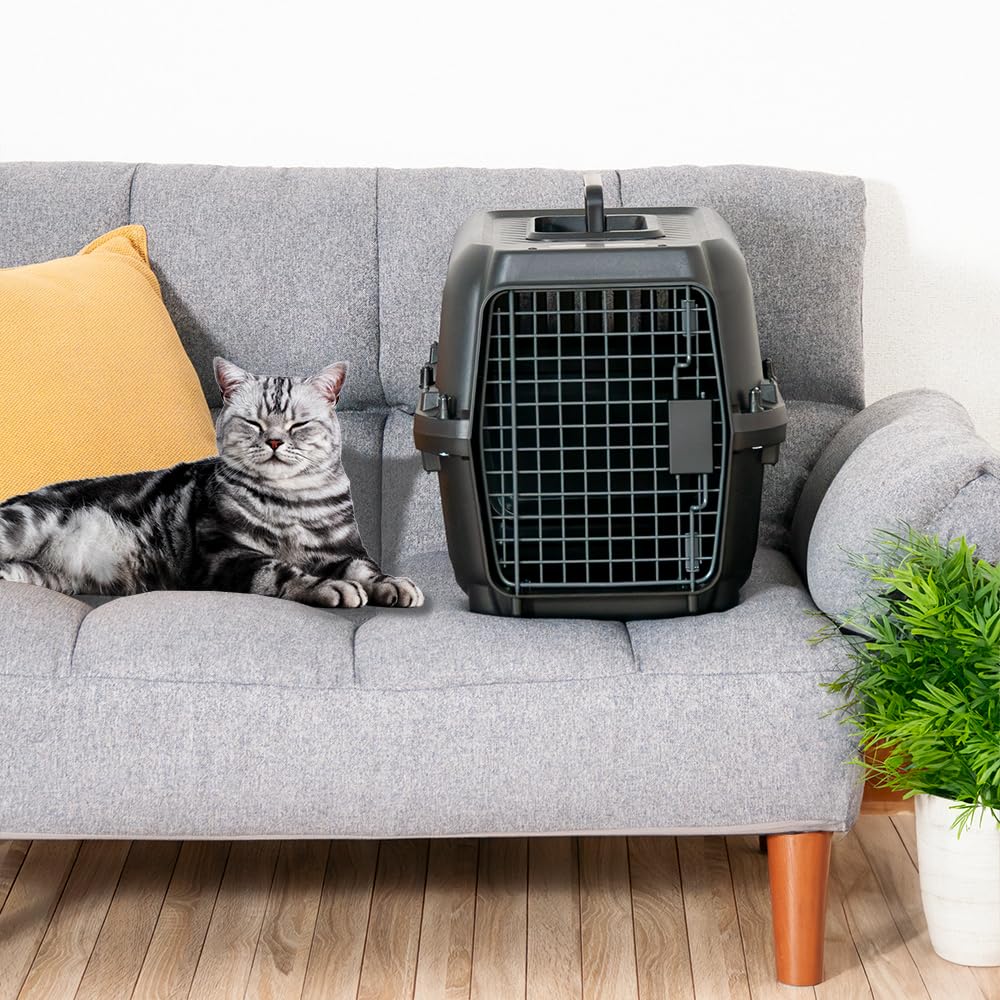 Petit Ruban DX50B Pet Carrier with Double Doors and Slatted W X 34cm H X 50cm Hard Pet Carrier for Small and Extra Small and Small Double Left and