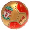 Liverpool FC YNWA Signature Football
