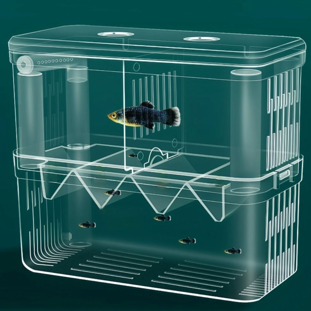 Acrylic Fish Breeding Isolation Box Double-Deck Fish Breeder Box  Fish Injured