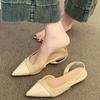 Flat-bottomed Bag Head Sandals Women's 2025 New Summer Beautiful French Mary Jane Shoes with Skirt Pointed Sandals