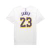 Nike NBA Lakers Limited Edition Леброн Джеймс Нет. Футболка 23 Asia Fit Мужские топы белые AR4888-109