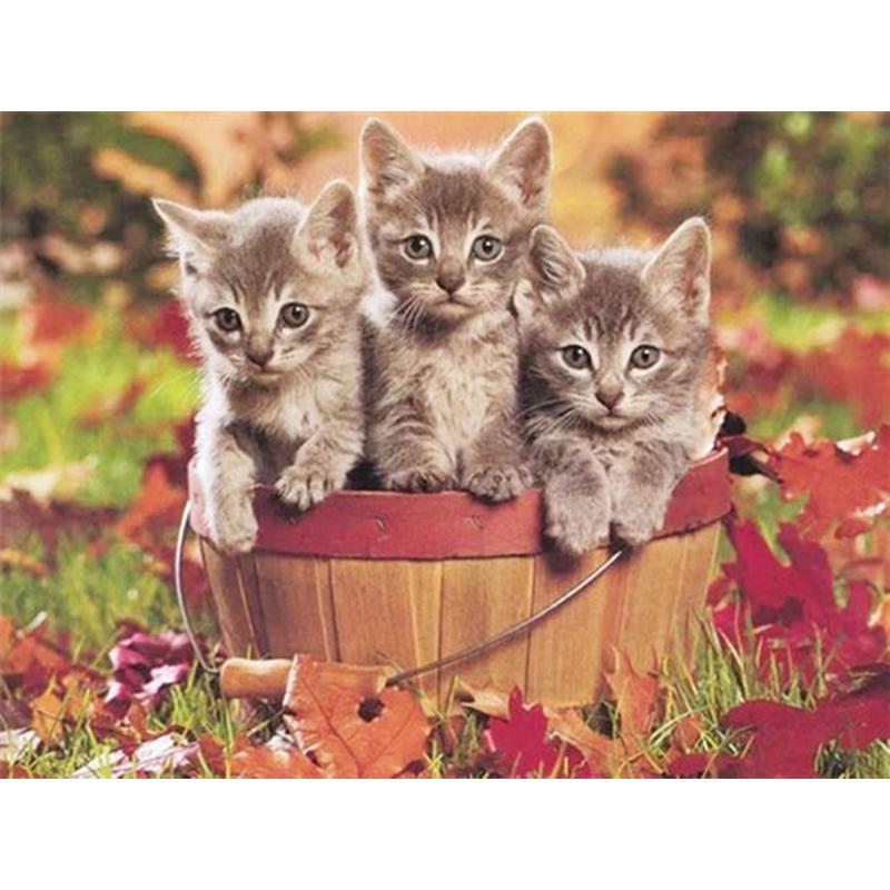 5D DIY Алмазная картина Набор Цветок Кошка Искусство Алмазная вышивка Стразы Украшения для дома