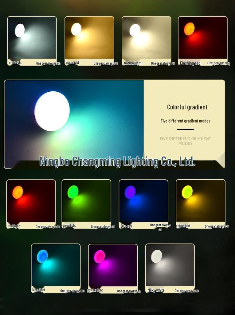 Многофункциональный RGB-фонарь: Кемпинговый фонарь, активируемый звуком, меняющий цвет, управляемый голосом