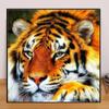 Животное DIY 5D Алмазная картина Могучий Тигр Алмазная вышивка Полный набор аниме Наборы для вышивки крестом Домашний декор Подарок ручной работы