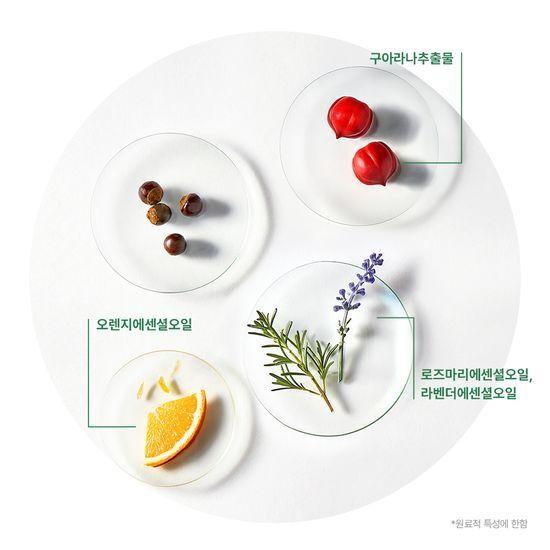 Rene Furterer Porticia Scalp & Hair Strengthening Scalp Serum 100ml