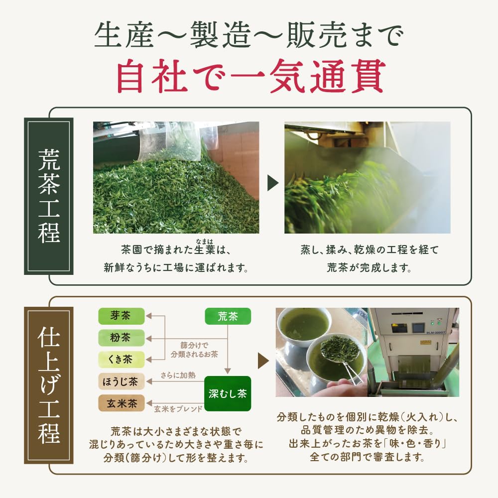 Чай Arahataen Special Selection Gourmet Shizuoka Fukamushi в упаковке x 100 шт., изготовлен из чайных пакетиков Matcha, 2,5 г шт., Ichibancha, высококачественный чай,