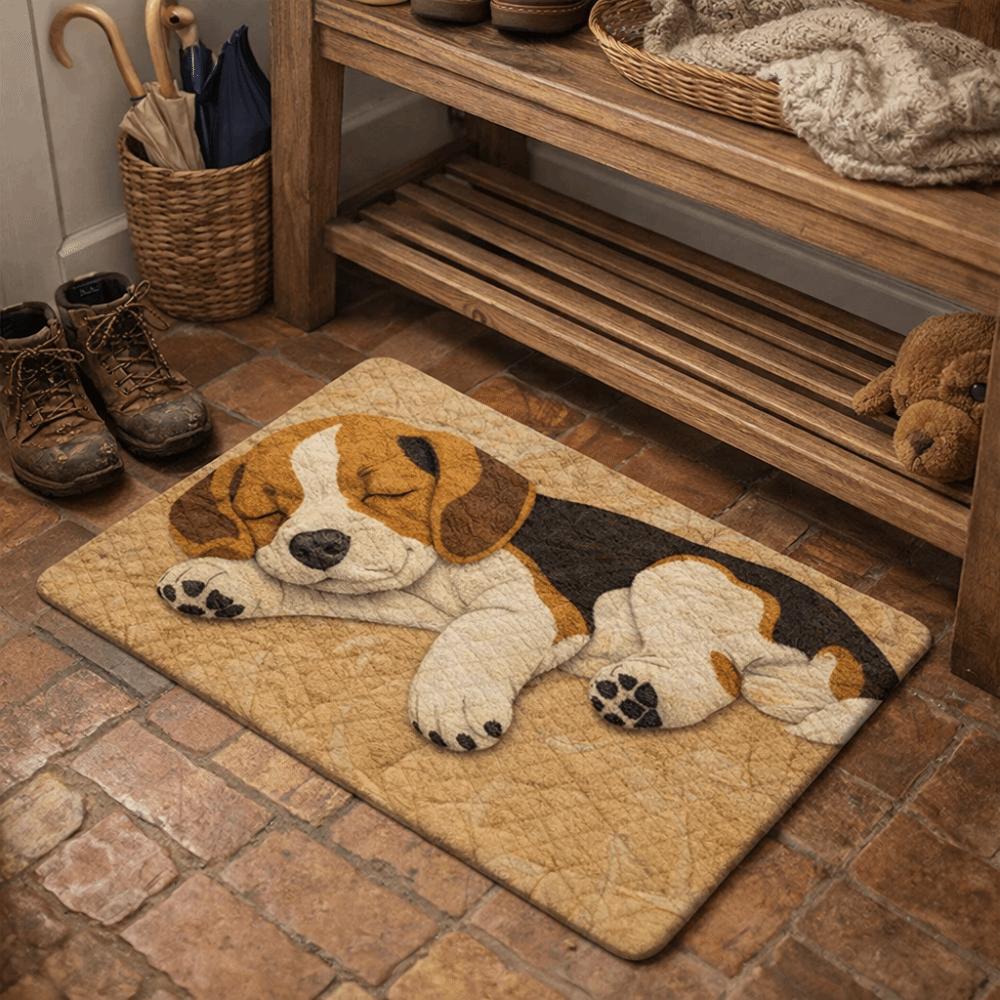 Water-absorbing Bathroom Carpet 40*60cm Bedroom Door Rug Creativity Foot Mat  Home Decor