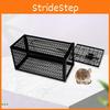 Hassle-free Iron Mouse Trap Control Catcher Easy To Set Up And Effective Pest Control
