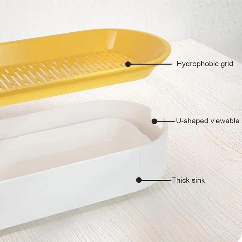 For Easy Growth Hydroponic Soilless Planting Catnip Cat Grass Pot Set Hydroponic Cat Grass Box