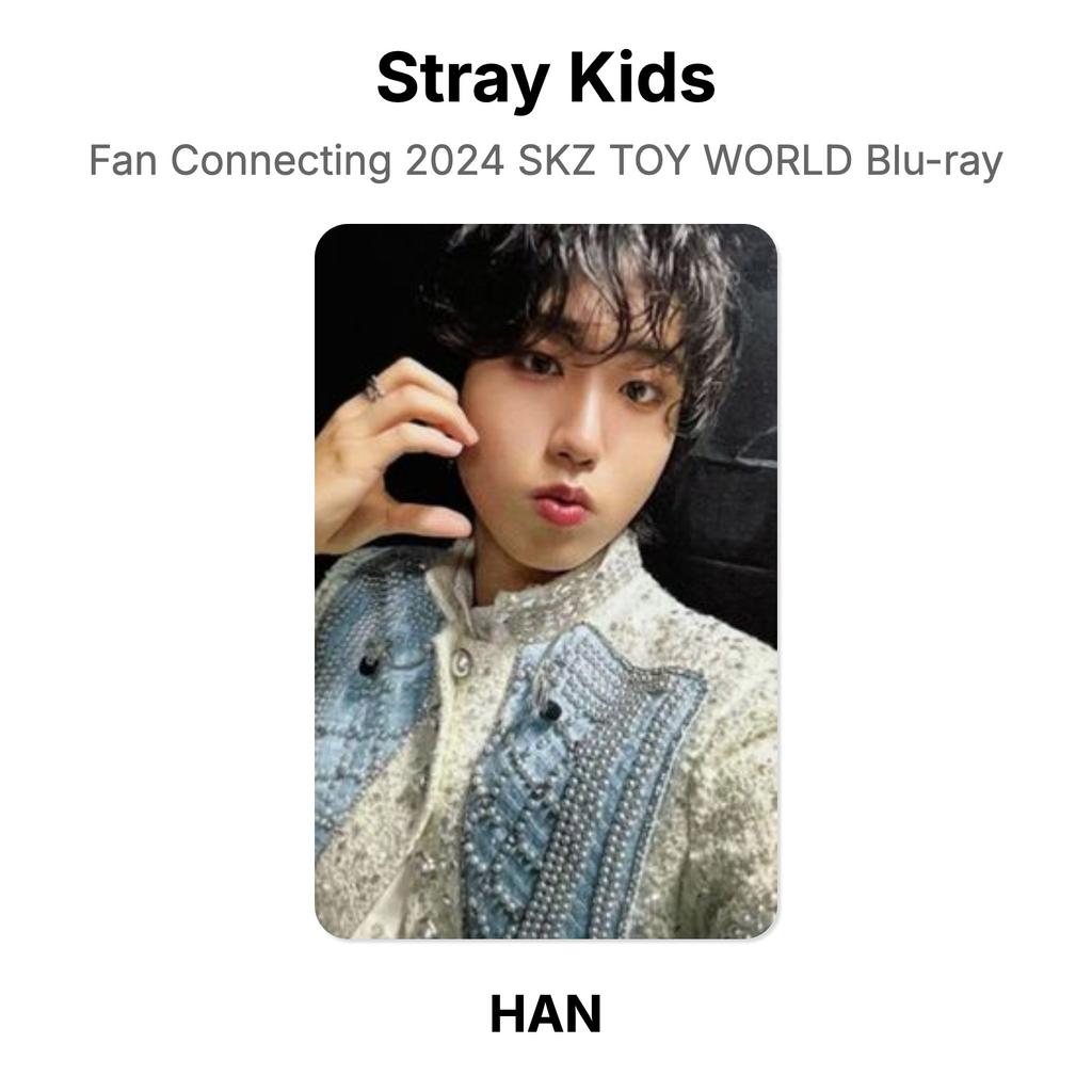 Stray Kids Фан-коннектинг 2024 SKZ TOY WORLD Blu-ray Официальная фотокарточка