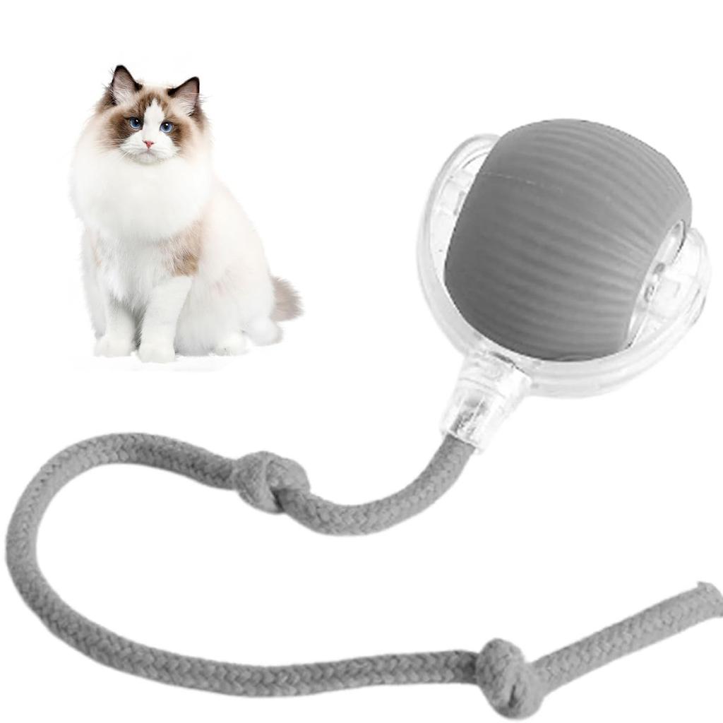 Интерактивные игрушки для кошек Lettuce, катящийся мяч, умные интерактивные игрушки для собак, электрическая игрушка для кошек, перезаряжаемый мяч