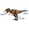 TAKARA TOMY Ania Jurassic World Final Battle Set Animal Dinosaur Toy Возраст 3+