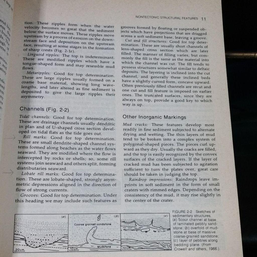 [Б/У] Строение ЗЕМЛИ