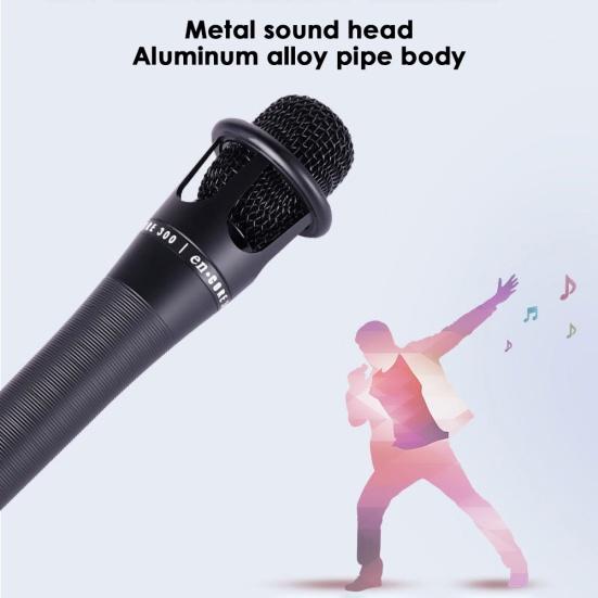 E300 Handheld Wired Condenser Microphone for Audio Broadcast Sound Recording