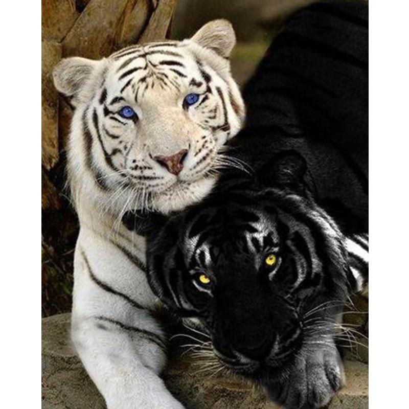 Тигр Аниме Мультфильм Алмазная картина 5d Полный круглый 35x35CM Алмазная мозаика